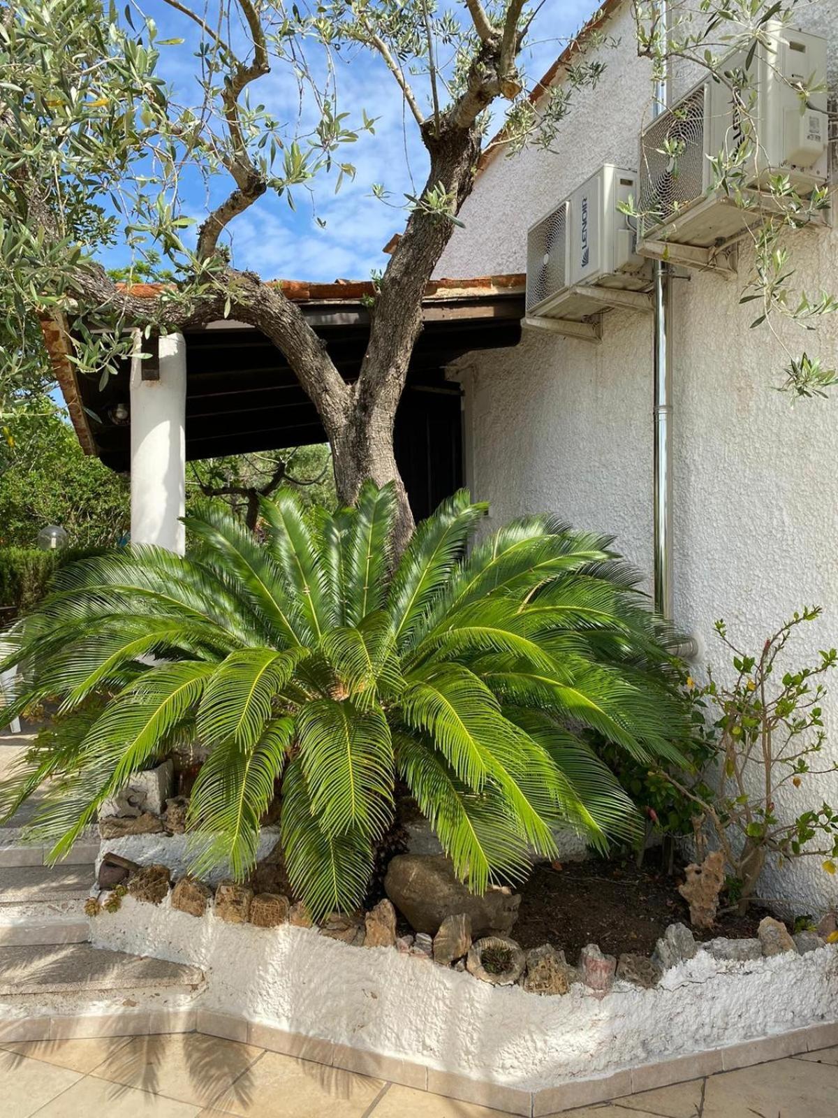 Domo Anghèleda la casa per le tue vacanze vicino al mare Alghero Extérieur photo
