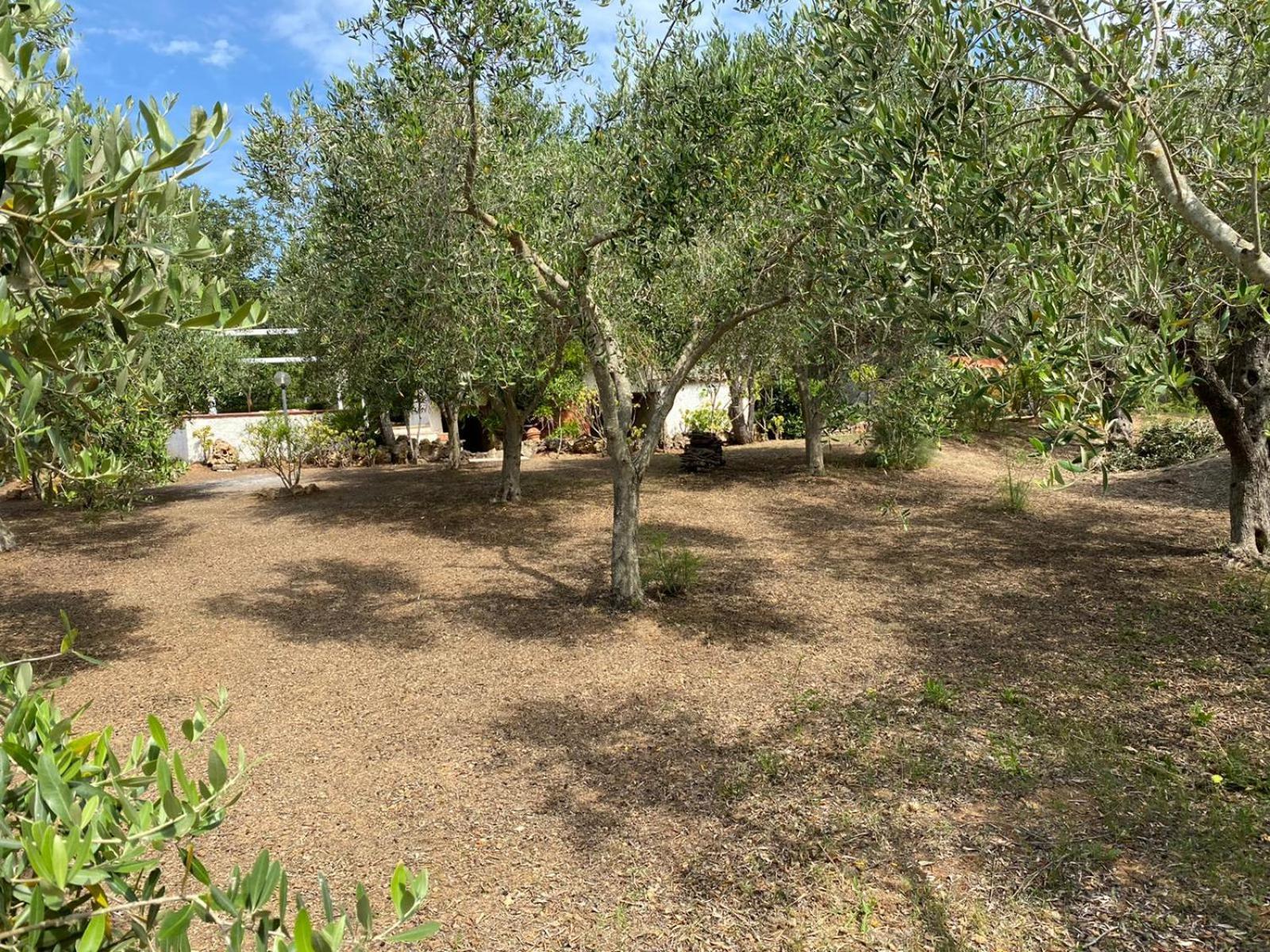 Domo Anghèleda la casa per le tue vacanze vicino al mare Alghero Extérieur photo
